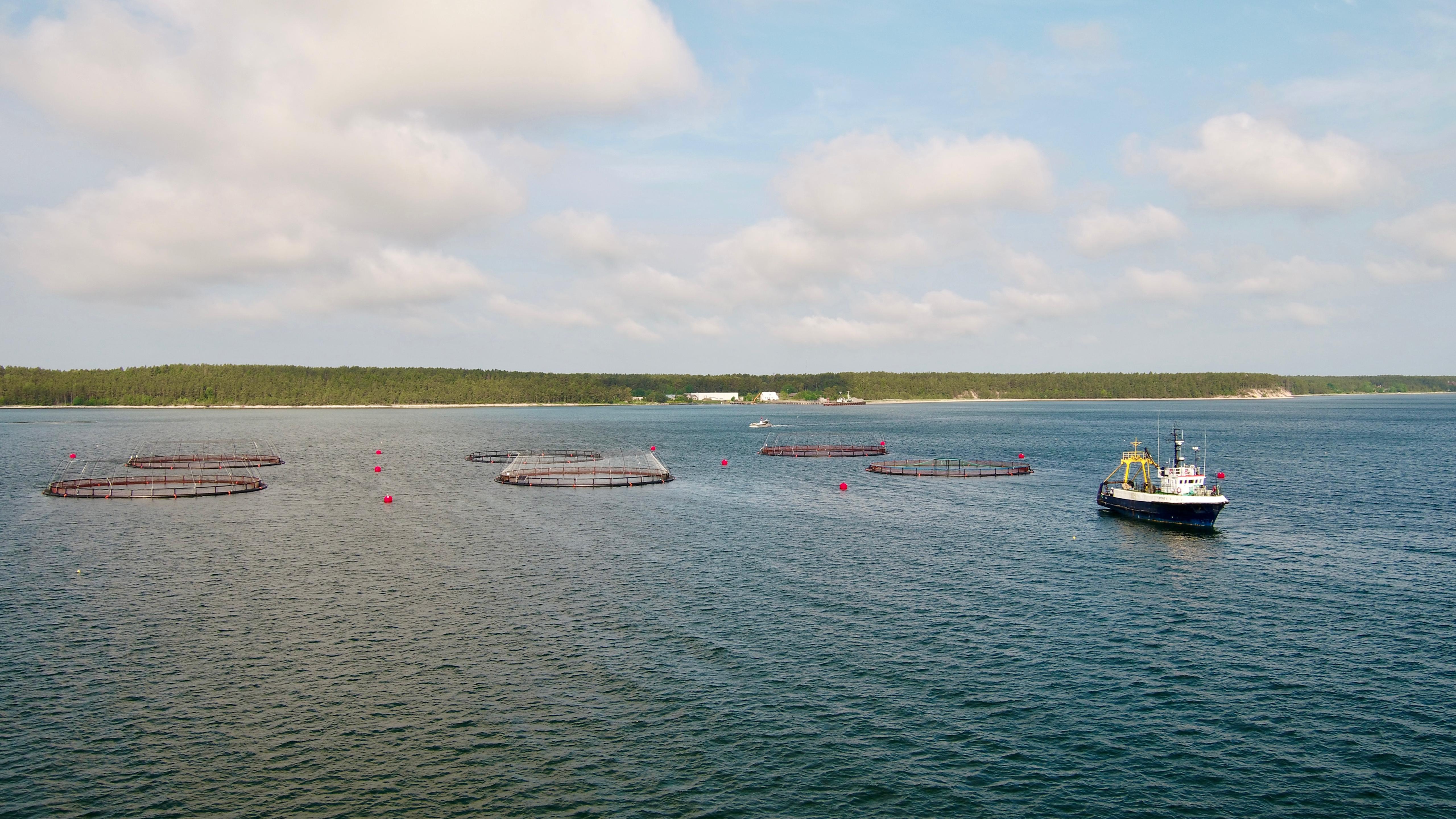 HexHydro service vessel tending a cage array
